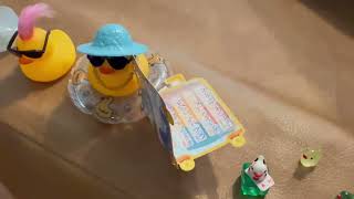 Cruise Ducks found on Harmony of the Seas Thanksgiving Cruise