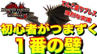 【まず最初にブチ当たった壁】上位装備でどこまでいけるか＃８