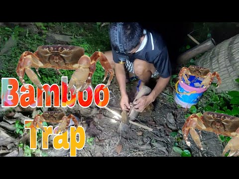 EP35-CRAB FARM BAMBOO TRAP SA GABI CATCH AND COOK|DAPDAP SEA