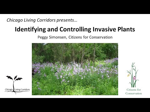 Identifying and Controlling Invasive Plants - August 12, 2020