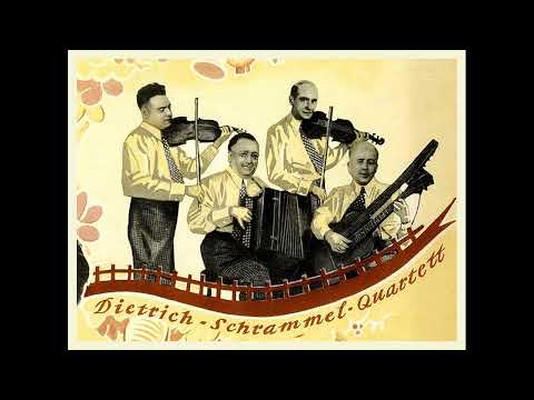 Dietrich Schrammeln - Wien, du Stadt meiner Träume