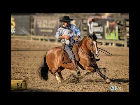 SENHOR DO ARREIO - Homenagem ao ginete Daniel Teixeira