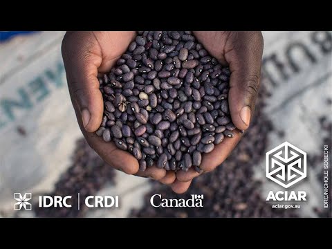 download lagu mp3 mp4 Pre Cooked Beans, download lagu Pre Cooked Beans gratis, unduh video klip Pre Cooked Beans