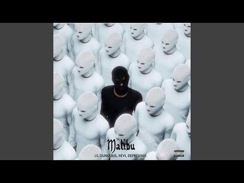MALIBU (feat. DEPRESINIS & REVI)