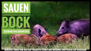 Jagd auf Sommersauen und Böcke | Sauenglück bei Tag | Schwarzwaldhunters