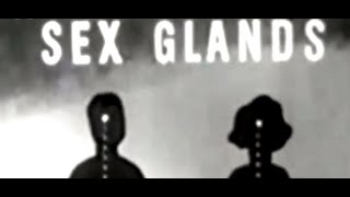 Guided by Voices - A Good Flying Bird [USA] 1994