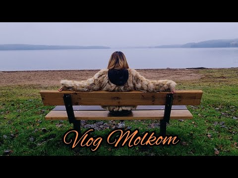 Vlog Molkom