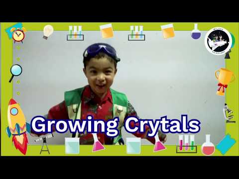 Kids Science Experiment: Growing Crystals with Milton!!!