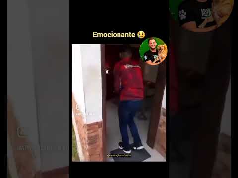 #brasil #cachorro #petsfofinhos #noticias #papagaio #senadorcanedo #goias #mundo #gateiraporamor