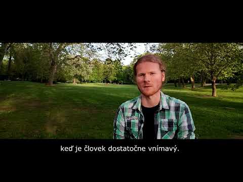 Hithit.cz - Pulse of Silence - Slovenský post-rock vydáva svoje prvé CD