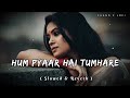 Hum Pyaar Hai Tumhare Slowed Reverb Top Lofi Songs Kumar Sanu Alka Yagnik Lofi 90s