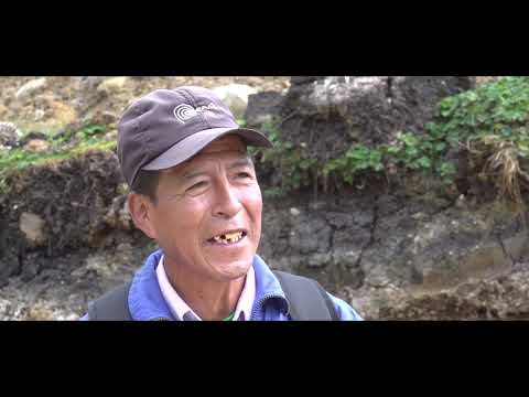 , video de YouTube