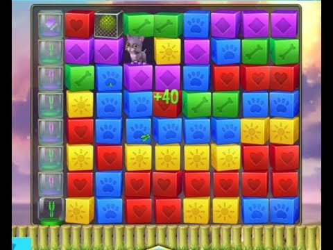 Pet Rescue Saga Level 2422