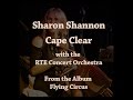 Sharon Shannon and The RTE Concert Orchestra Cape Clear