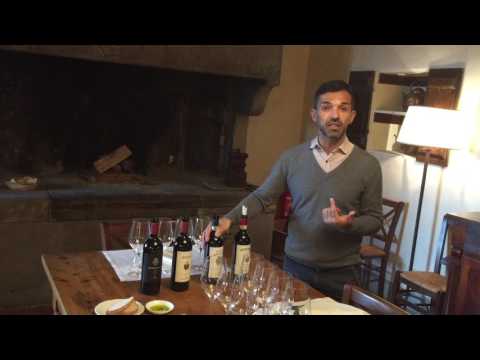 Wine tasting at Nipozzano Estate