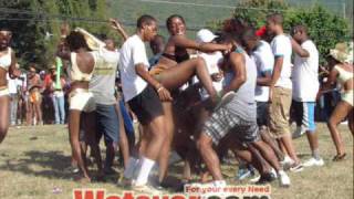 Body A Shake Riddim 2009 SHAGGY,DA&#39;VILLE,SHREECHY DAN