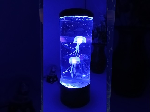 Vídeo relacionado con 4 Piezas Lámparo, Candelabro Creativo Medusas, Lámpara LED Fantasía