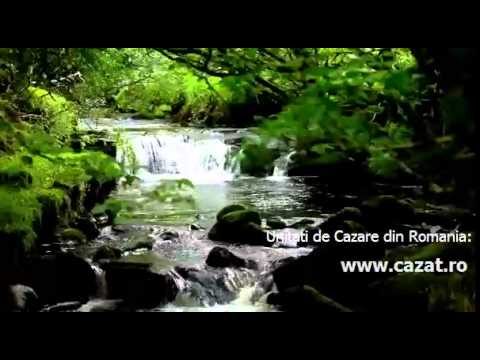 Cazare Halmeu, Satu Mare - Cazat.ro