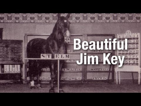 Beautiful Jim Key — The World's Smartest Horse
