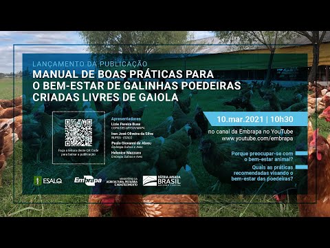 Lançamento do Manual de Bem-Estar de Galinhas Poedeiras Embrapa