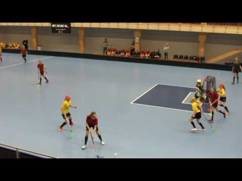 SBS Wirmo D   Hässelby SK IBK 5 1 2017