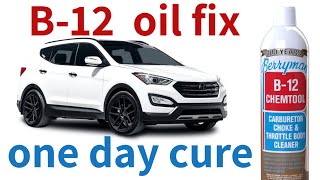 Santa Fe Sport oil burning fix