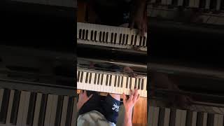 Disco - Widespread Panic Tutorial