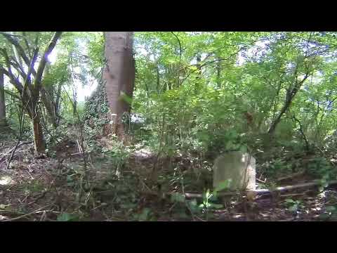 360 video: Historic cemetery with thousands of graves falls victim to decay, neglect