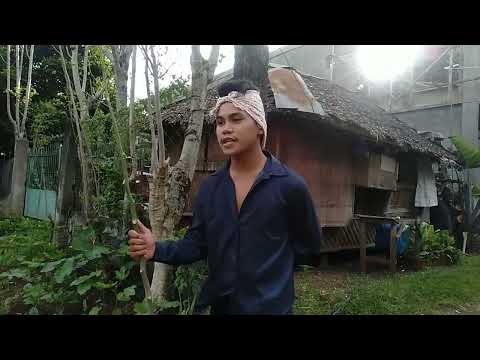 Pilosopo Tasyo - Sherwin Buenaflor ...Writings of Rizal