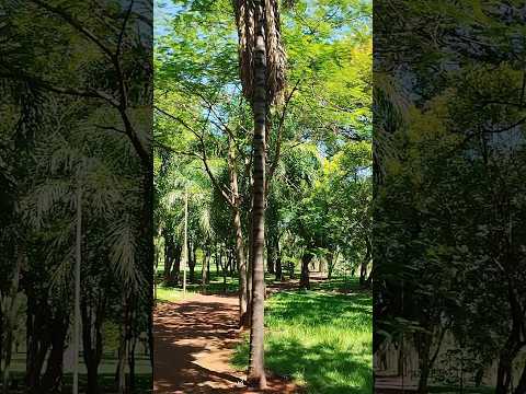 06/01/26,Terenos, MS.#matogrossodosul #turismo #viagem #terenos