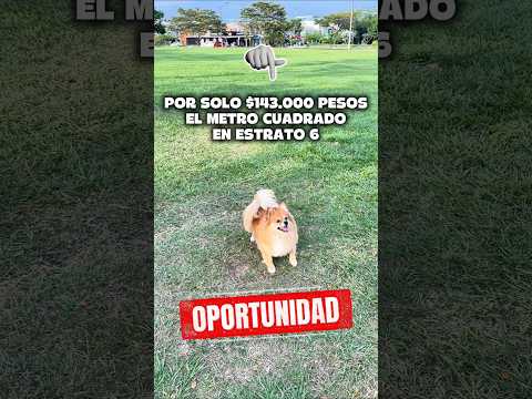 Lotes, Venta, Pance - $860.000.000