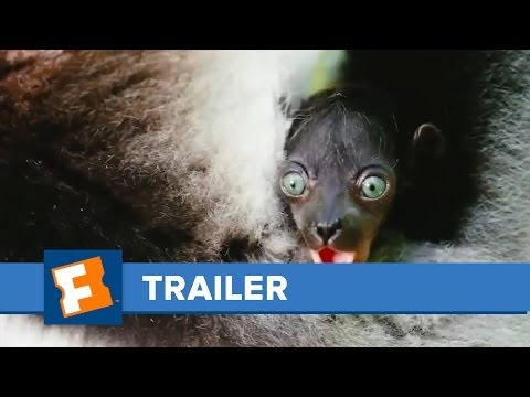 Island of Lemurs: Madagascar | Trailers | FandangoMovies