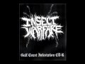 Insect Warfare - At War With Grindcore 