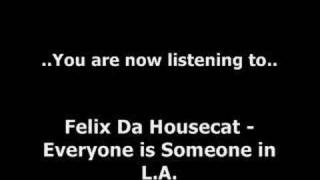 Felix Da HouseCat - Everyone is someone in L.A.