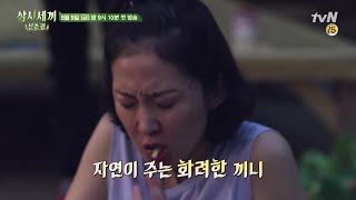[티져] 평화로운(?) 자급자족 산촌 라이프 (다 잘 될 거예요ㅎㅎ) 3 Meals a Day - mountain village 190809 EP.1