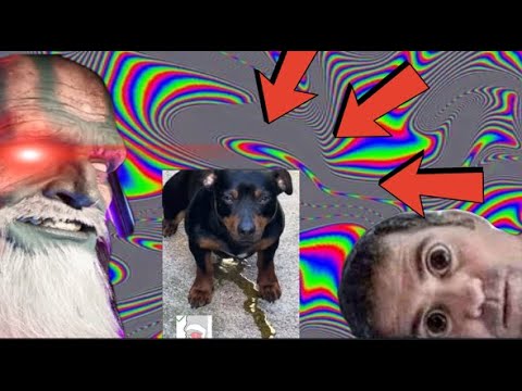 THE ART OF DHALSIM'S RUSHDOWN IN SF6