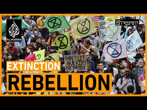 🌍 How can we save ourselves from extinction? | The Stream
