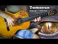 『Tamacun』(Rodrigo y Gabriela) meet flamenco gipsy guitar【FINGERSTYLE COVER】