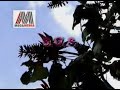 AVSEQ07 S O S