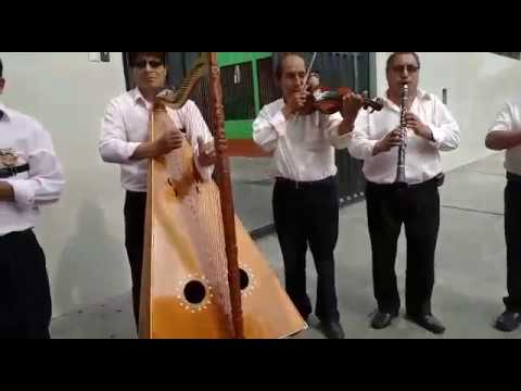 Tunantada 2019 Purito Pacte Primicia