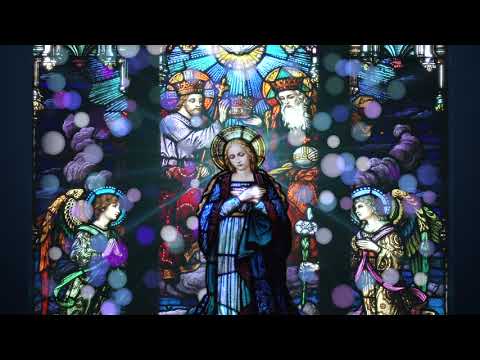 Hail Holy Queen Enthroned Above [w/ lyrics] | Catholic Hymn