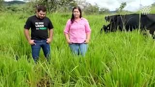 Miniatura do vídeo