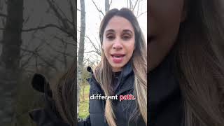 I was so wrong about how much Excel I actually knew