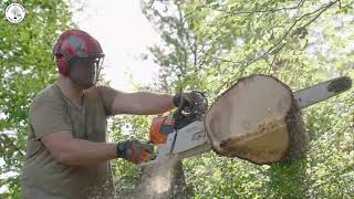 Emergency Storm Damage Services | Fast & Efficient