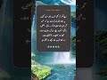Where Blessings Reside Urdu Quotes Shorts Quotes Urdu Status Deepwords Viralvideo Yt