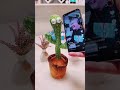 talk and dancing cactus sing for you!!! HAHAHAHAHAH SONG