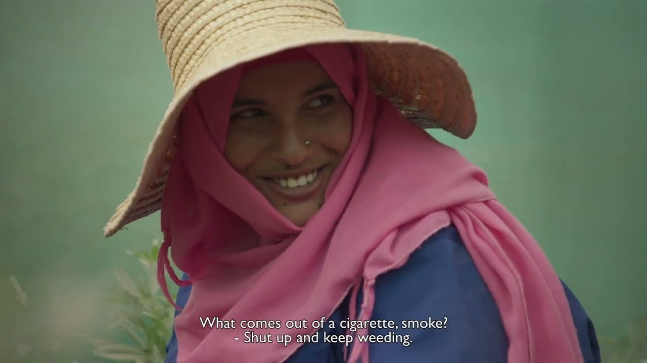 Wild Relatives - Trailer