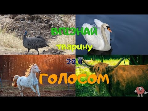 Дидактична гра №1. Впізнай тварину за її голосом. Вивчаємо свійських тваринин.