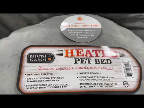 First kitten shopping trip