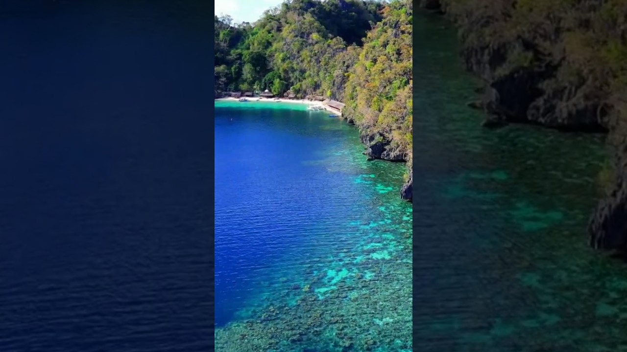 YouTube Short thumbnail